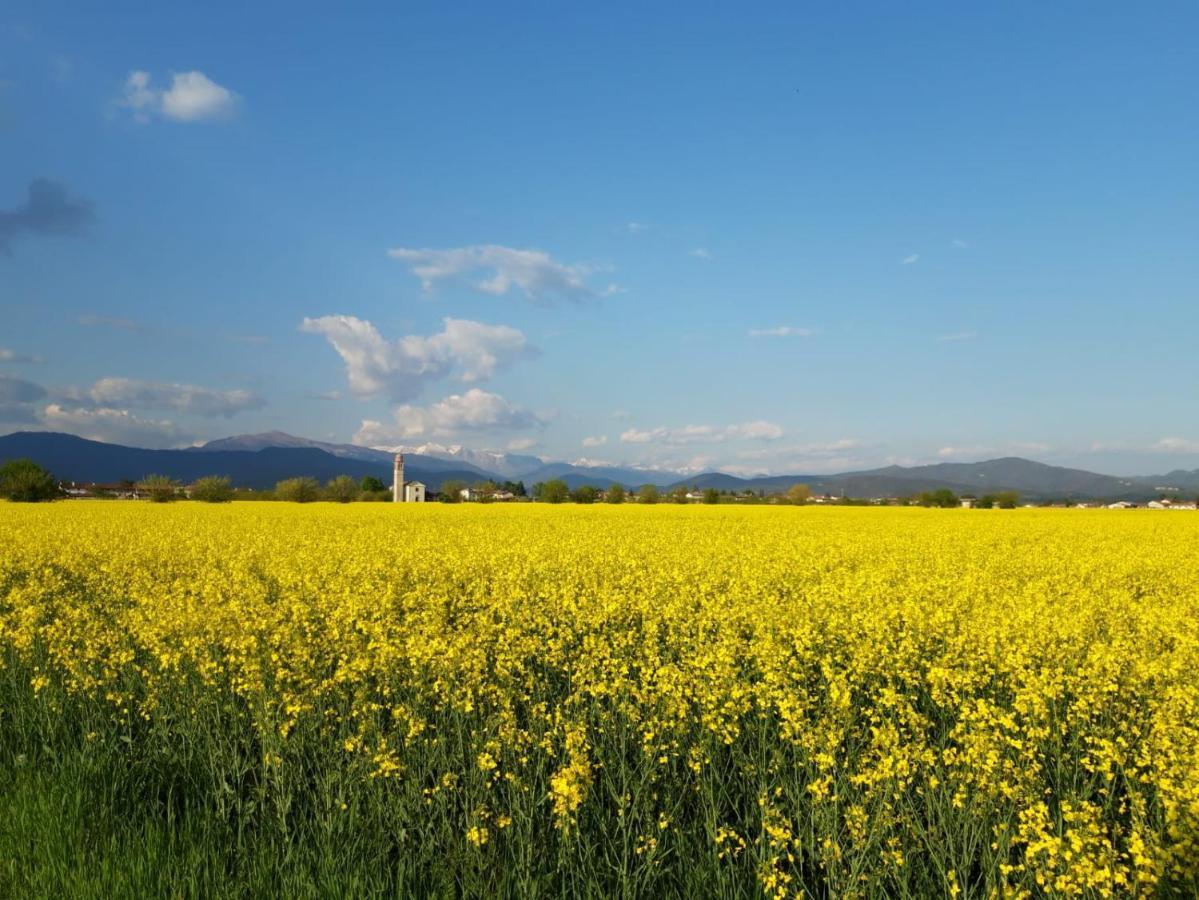 Agriturismo Antica Corte Contadina Premariacco Eksteriør bilde